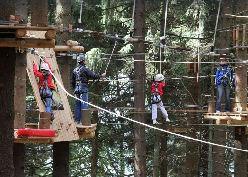 Ferienwohnung Mit Extra Schlafzimmer Und Blick In Den Bayrischen Wald Oberhalb Von Sankt Engelmar ザンクト・エングルマール エクステリア 写真
